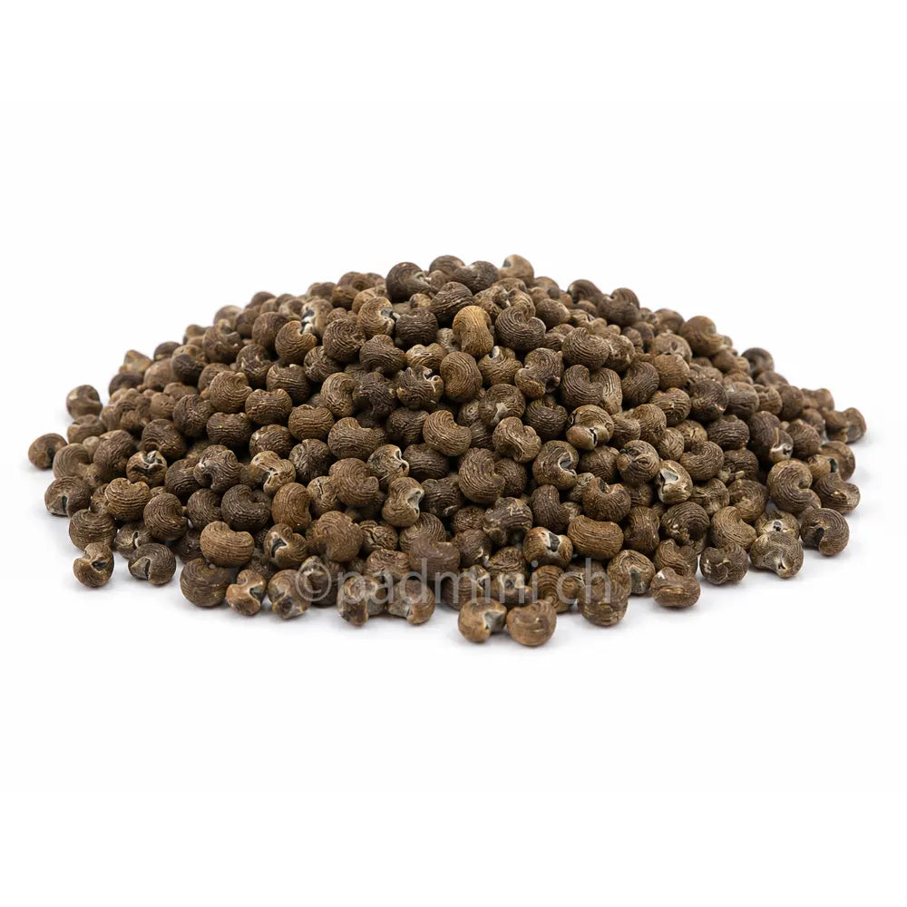 Graines d'Ambrette 40g