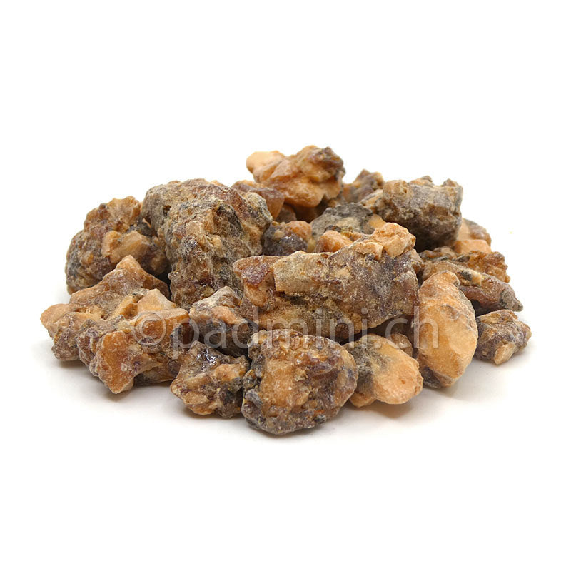 Benzoe Sumatra aus Indonesien – natürliche Harzstücke von Styrax benzoin