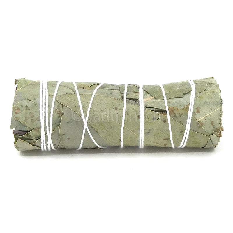 eukalyptus-raeucherbuendel