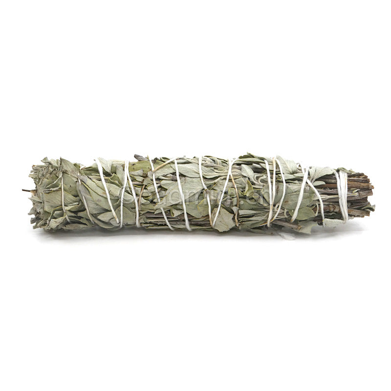 fagot-de-sauge-de-turquie