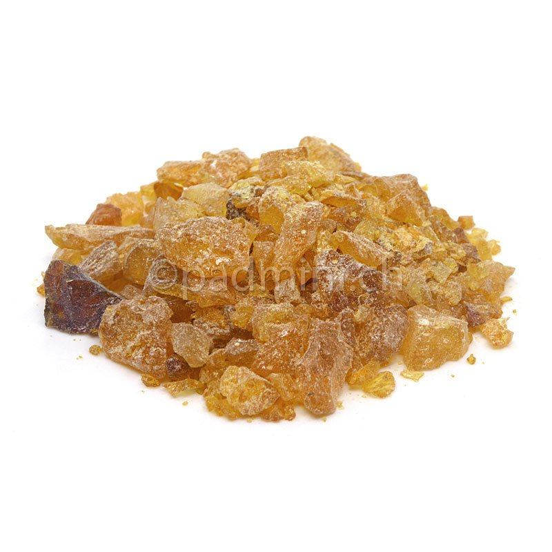 Fichtenharz 40g - INDIAN SHOP