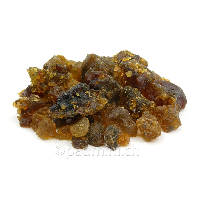 Guggul aus Indien – dunkle Harzstücke von Commiphora wightii