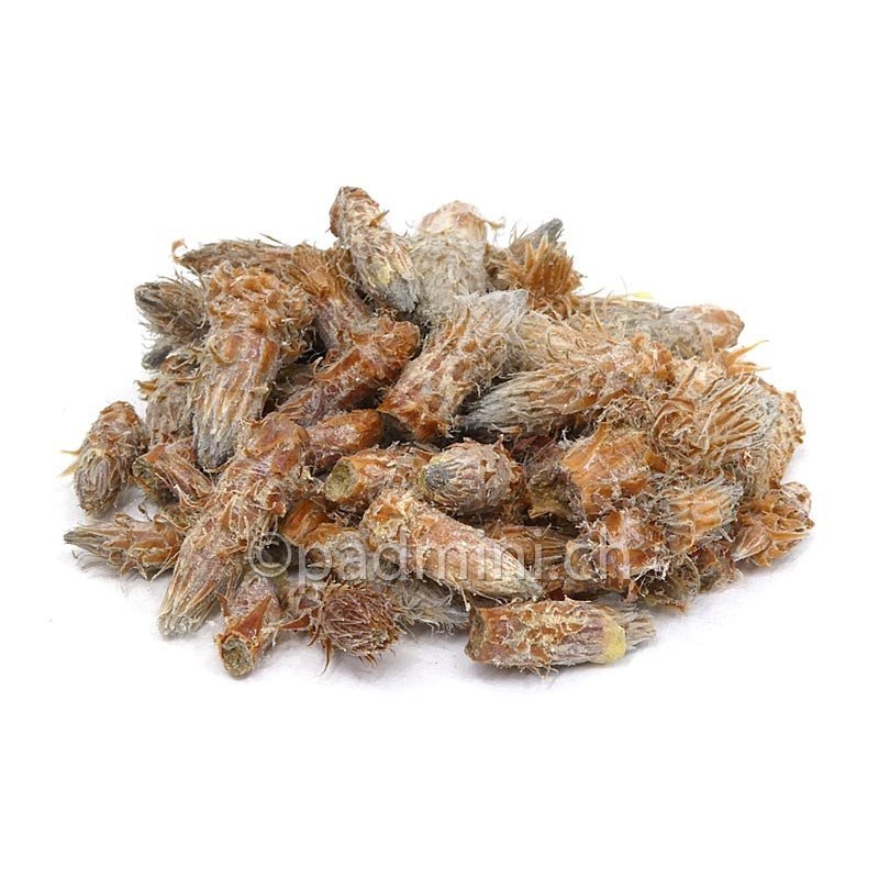 Kiefernsprossen Ganz 40g - INDIAN SHOP