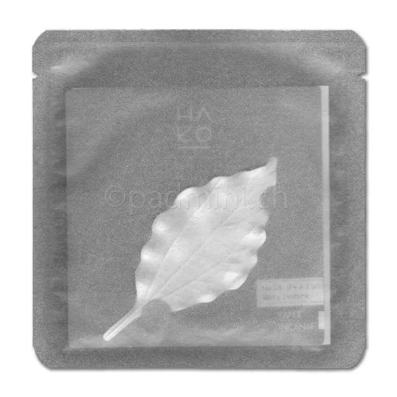 kunjudo-ha-ko-spicy-jasmine