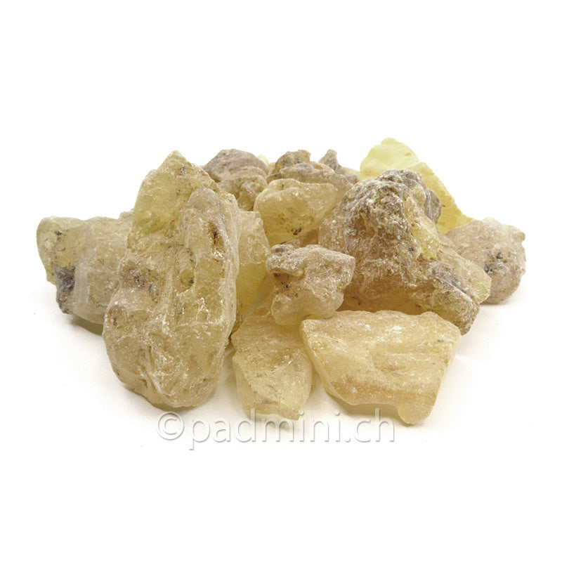 Manila-Copal aus Agathis dammara – helle natürliche Harzstücke zum Räuchern