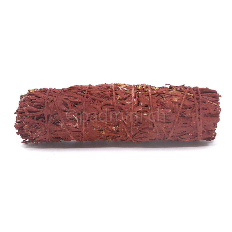 mountain-sage-drachenblut
