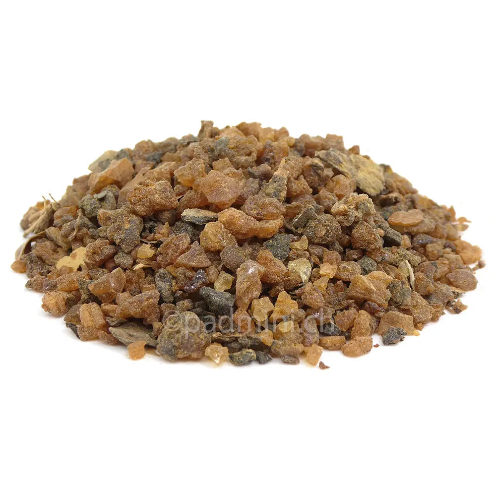 Myrrhe Suhul aus Somalia – kleine bernsteinfarbene und braune Harzstücke von Commiphora myrrha