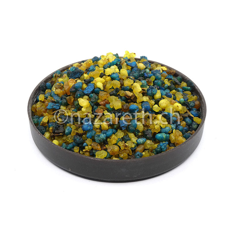 notre-dame-de-lourdes