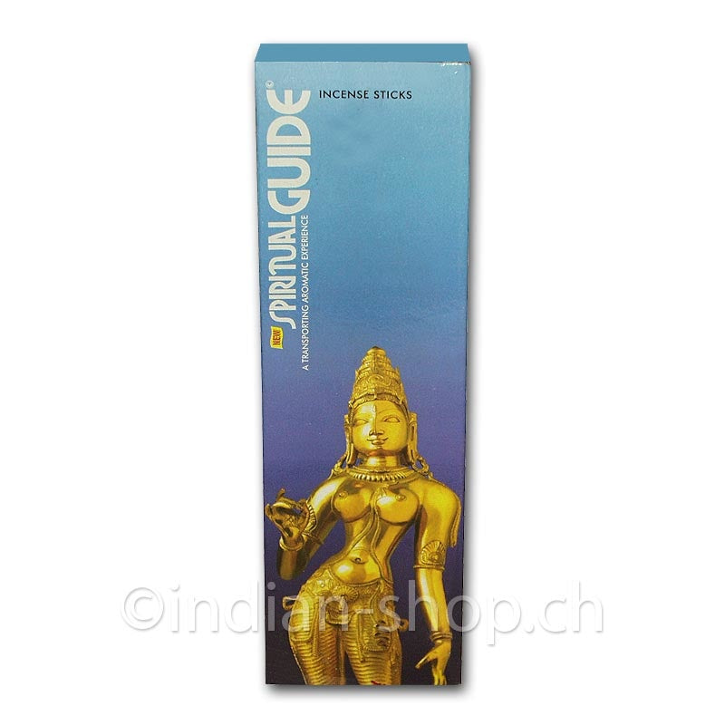 padmini-spiritual-guide-100