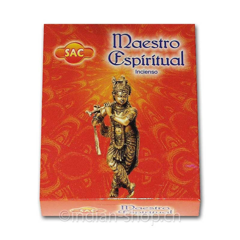 sandesh-raeucherkegel-spiritual-master