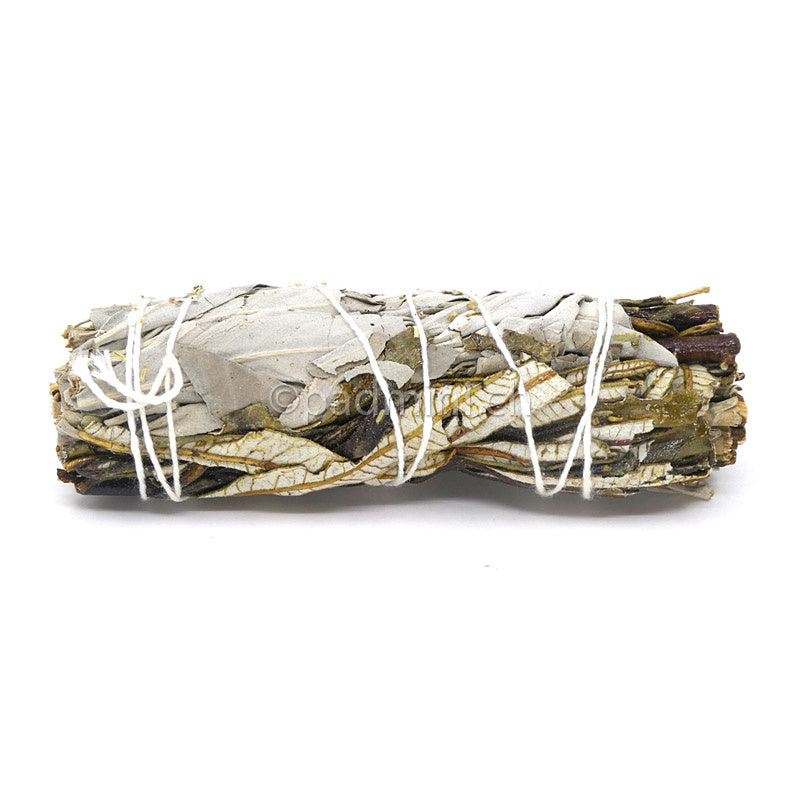 sauge-blanche-bleue-yerba-santa