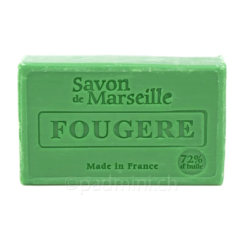 savon-le-chatelard-fougere