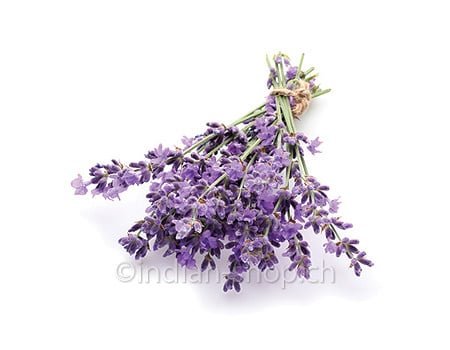 Speiklavendelöl 10 ml - INDIAN SHOP