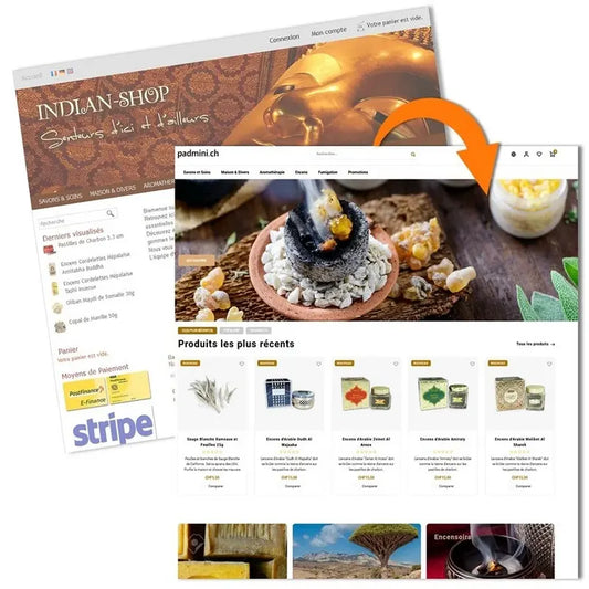 Bild: Wechsel der Website von indianshop zu padmini.ch