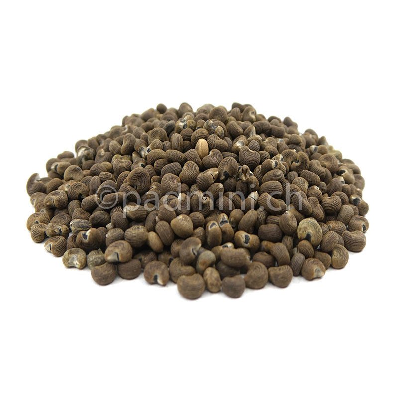 Abelmoschussamen 40g - INDIAN SHOP
