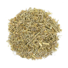 absinthe-artemisia-absinthium