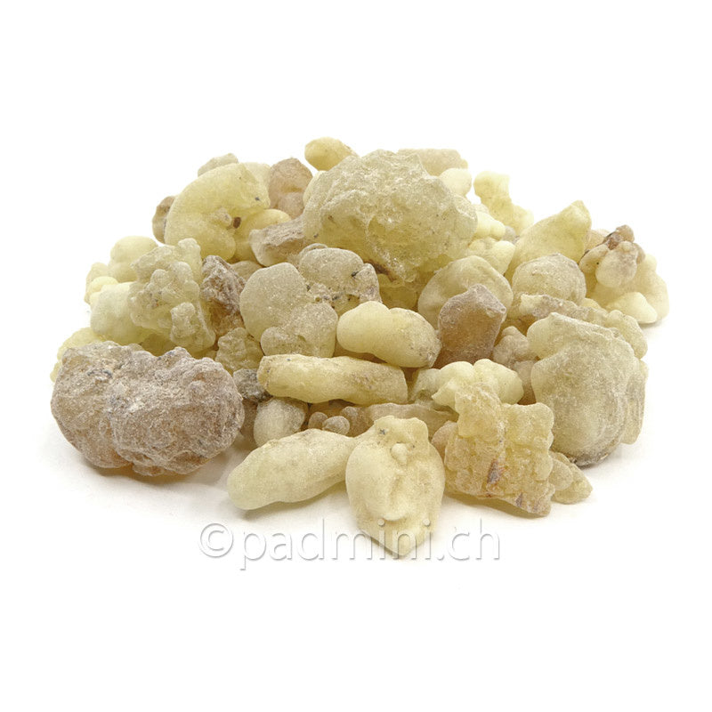 Äthiopischer Weihrauch 1. Wahl aus Boswellia papyrifera, mittelgrosse bis grosse Harzkörner