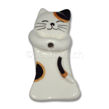 Akiko Katze - INDIAN SHOP