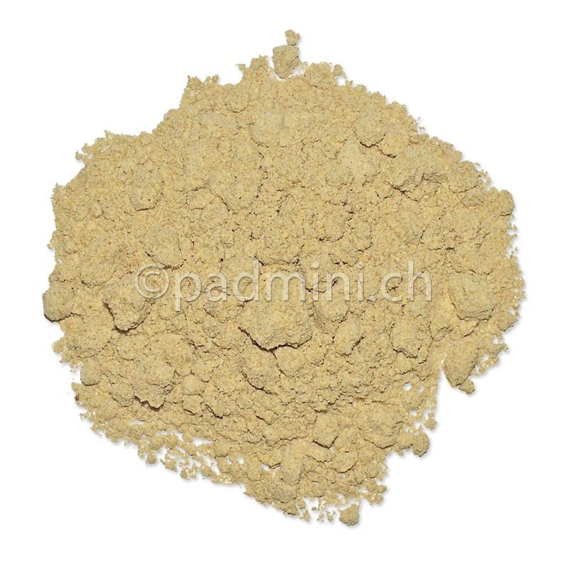 Asant, Teufelsdreck Pulver 40g - INDIAN SHOP