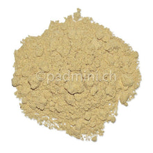 Asant, Teufelsdreck Pulver 40g - INDIAN SHOP