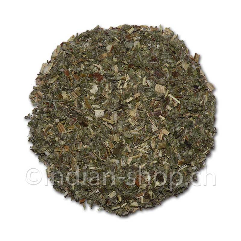 beifusskraut-artemisia-vulgaris