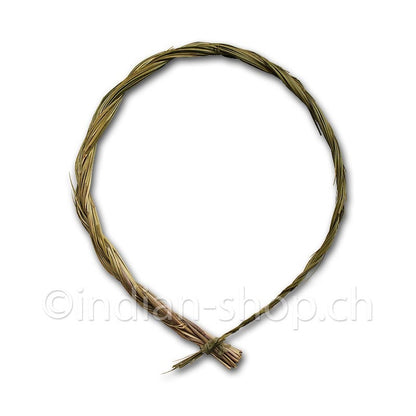 duftende-mariengras-hierochloe-odorata