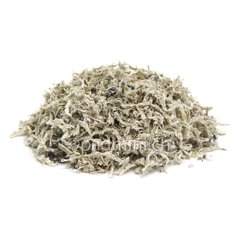 Eichenmoos - INDIAN SHOP