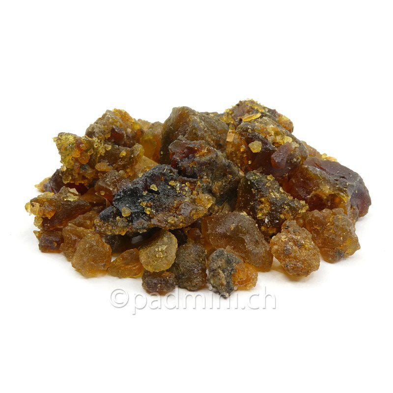 Guggul 50g - INDIAN SHOP