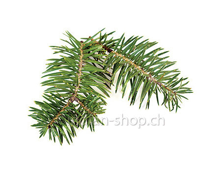 kiefernnadel-aetherisches-oel