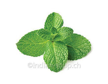 Krauseminze Ätherisches Öl 10ml - INDIAN SHOP