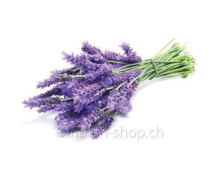 lavendel-aetherisches-oel