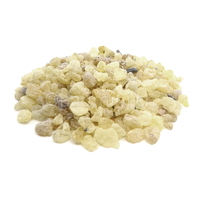 Natürliches Mastixharz aus Iran (Pistacia terebinthus), 30 g