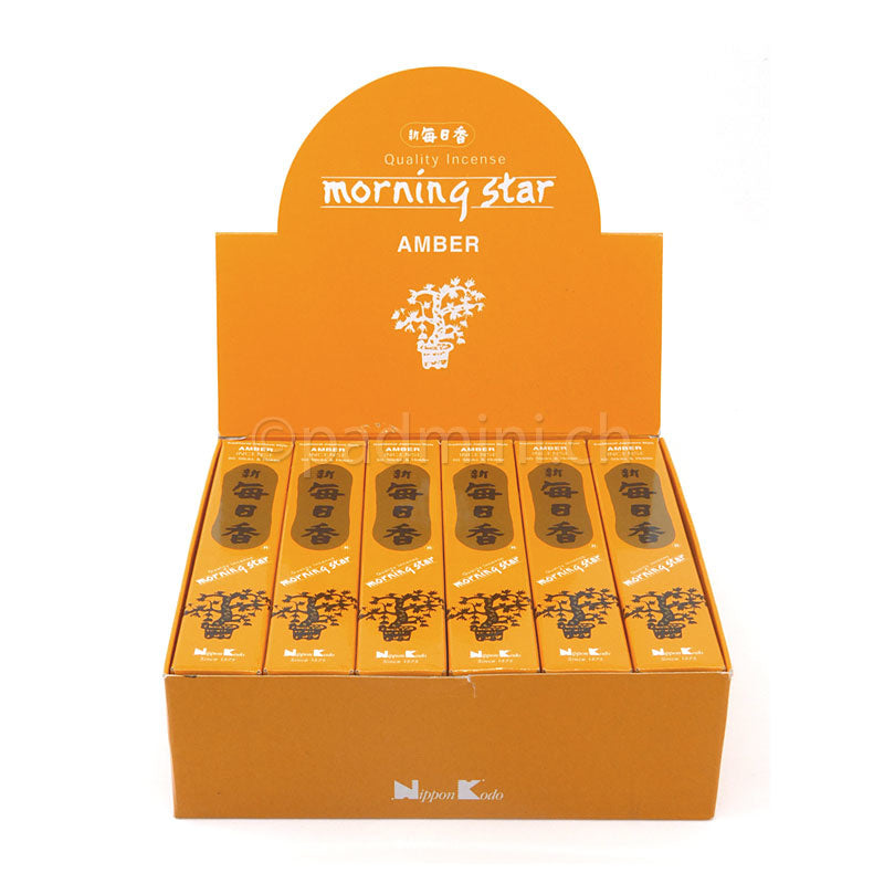 morning-star-amber