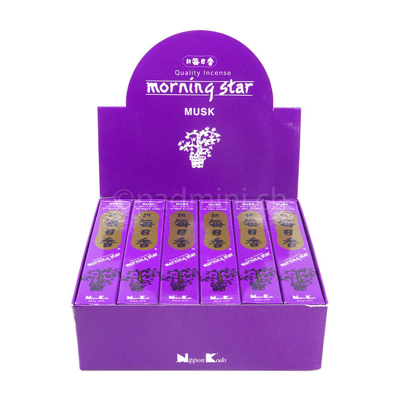 morning-star-musk
