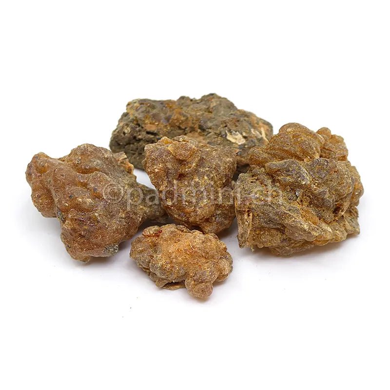 Myrrhe Somalia 1. Wahl 50g - INDIAN SHOP