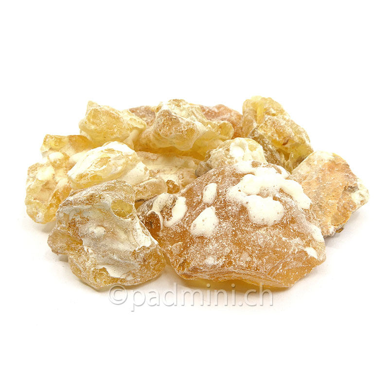 oliban-maydi-mushaad