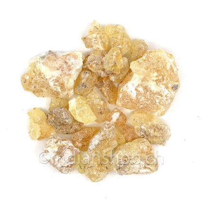 olibana-de-somalie-maydi-mujaarwal