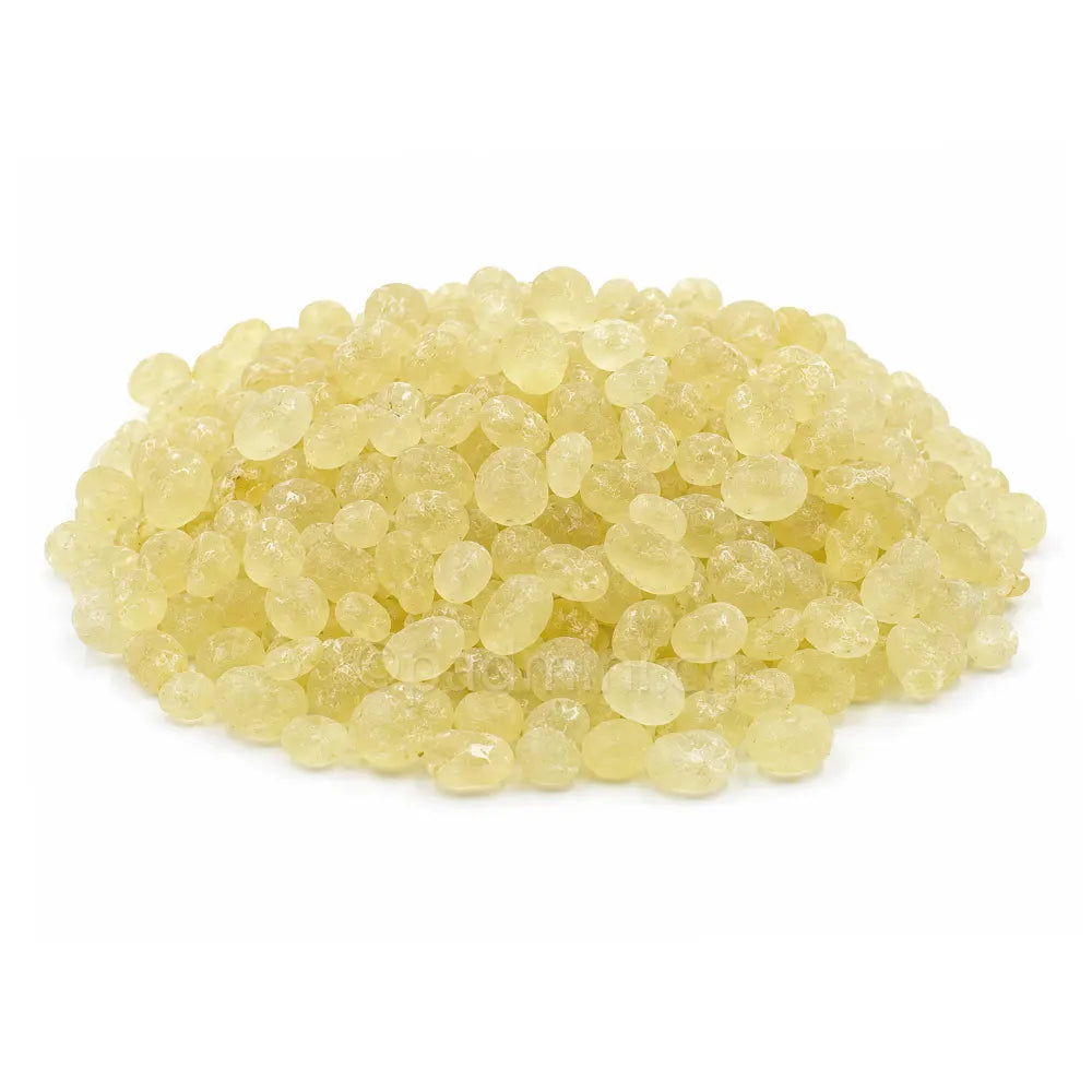 Original Chios-Mastix aus Griechenland: 25 g kleine, gereinigte Harztränen von Pistacia lentiscus. Zum Räuchern, Kauen und Aromatisieren von Speisen.