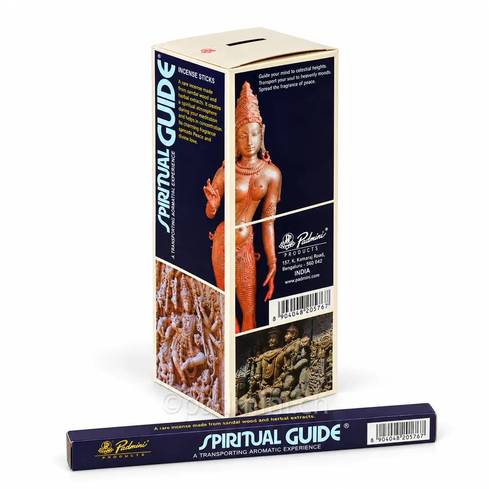 padmini-spiritual-guide