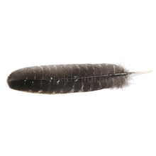 Naturfarbene Räucherfeder 25–27 cm zum Verteilen von Rauch