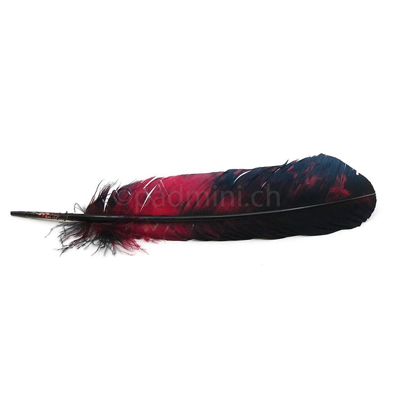 Räucherfeder Rot 30cm - INDIAN SHOP