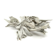 sauge-blanche-rameaux