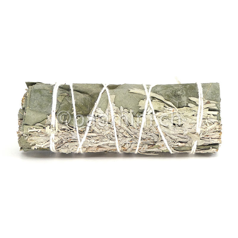 sauge-bleue-eucalyptus