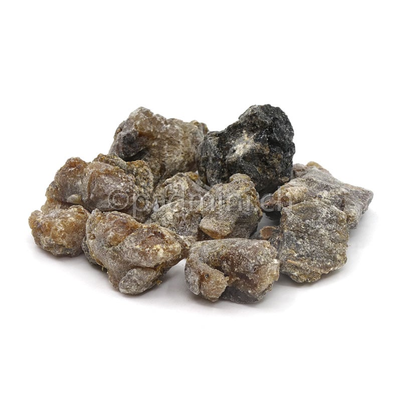 40g sibirisches Zirbenharz (Pinus cembra sibirica) zum Räuchern