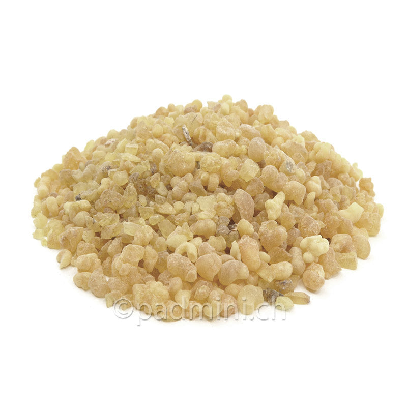 Weihrauch Eritrea – kleine Harzkörner von Boswellia papyrifera