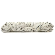 Californian White Sage 22 cm