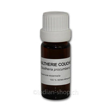 Wintergrün Ätherisches Öl 10ml - INDIAN SHOP